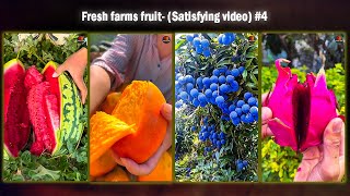 😱Fresh farms fruit Satisfying video 4 [upl. by Craggy]