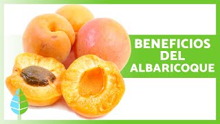 10 Increíbles BENEFICIOS del ALBARICOQUE 🍑✅ Propiedades Medicinales y Cómo Comerlo [upl. by Lajib597]