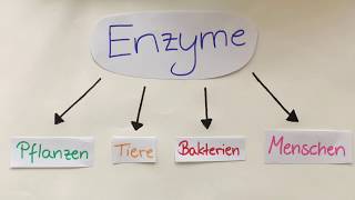 Enzymhemmung einfach erklärt [upl. by Auhsuj]