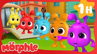 Morphles Best Multi Color Clones🌈 Cartoons amp Videos for Kids  Mila and Morphle [upl. by Charlie796]