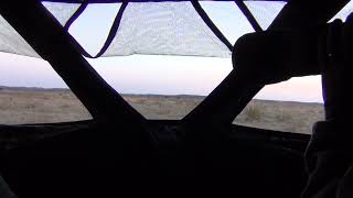 Viewing a Sharptailed Grouse Lek at Hutton Niobrara Ranch Wildlife Sanctuary in Nebraska [upl. by Nahsaj357]