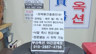 부산옥션 공식 유튜브 10월16일 6시 경매 [upl. by Esinyt]