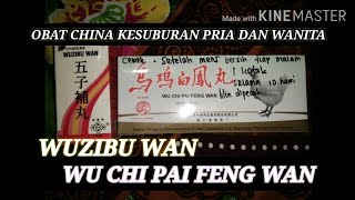 Wuzibuwan dan Wu chi pai Feng wan Obat China Penyubur Kandungan PROMIL Pria dan wanita [upl. by Eno]