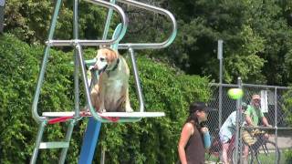 VIDEO Dog Dayz 2009 [upl. by Nydroj]