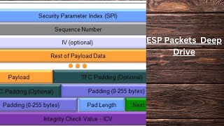 ESP IPSec Fundamentals Packets Deep Drive [upl. by Violet632]