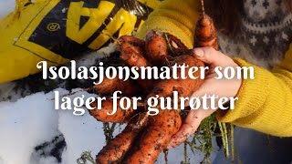 Isolasjonsmatter som lager for gulrøtter [upl. by Nosaj]