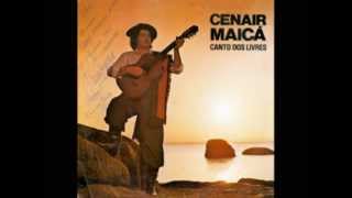 Cenair Maicá  Canto dos Livres [upl. by Ceciley]