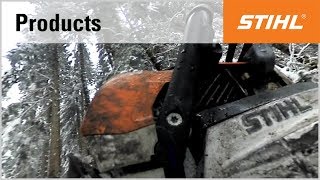 360° video Limbing using a STIHL chainsaw [upl. by Sanson927]