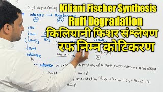 BSc 2nd sem  Kiliani Fischer Synthesis  Ruff Degradation  Arabinose to Glucose  BSc 3rd year [upl. by Ahsieit]