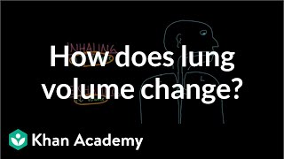 How does lung volume change  Respiratory system physiology  NCLEXRN  Khan Academy [upl. by Enawyd]