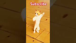 Cat dance Patli Kmariya Bole viral video trending shortsviralvideo kitties Cute ll [upl. by Noryak]