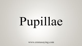 How To Say Pupillae [upl. by Glori451]