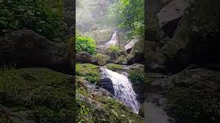 Triple Decker Living Root Bridge Cherrapunje [upl. by Warring]