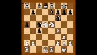 Catalan Opening Gelfand vs Georgiev Calvia 2004 [upl. by Arbma]