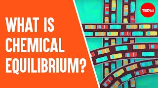 What is chemical equilibrium  George Zaidan and Charles Morton [upl. by Hildagard595]