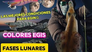 lo que no te dicen del EGING tutorial [upl. by Placido581]