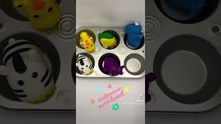 Muffin Tin Taskbox Activity [upl. by Lourdes]