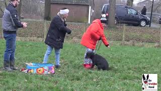 E G honden training zaterdag 13 Januarie 2024 [upl. by Scheers]