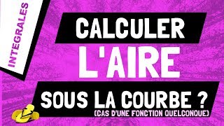 Comment calculer laire sous la courbe dune fonction quelconque [upl. by Carpio]