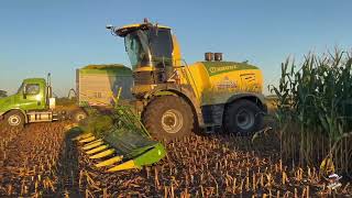 Orrson Custom Farming Corn Silage Harvest in North West Ohio [upl. by Martella893]