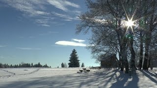 Winterzauber zwischen Hornberg und dem Kalten Feld [upl. by Kalin]