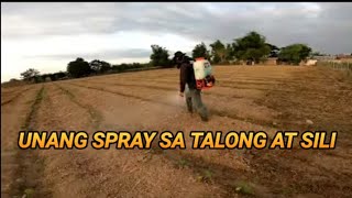 PART2 PAG SPRAY NG PEGASUS SA SILI AT TALONG [upl. by Munshi]