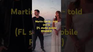 Martin Garrix  Told you so  FL STUDIO MOBILE REMAKE martingarrix progressivehouse [upl. by Sobmalarah794]