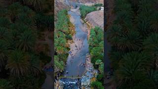 Rustaq  Sultanate of Oman 🇴🇲🌴 travel discoveroman asiantravel exploreoman nature [upl. by Enois]