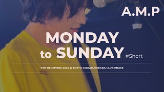 직캠 4K 20231211 AMP Fancam  Takadanobaba  Live Clip 02 Monday to Sunday ShortVer [upl. by Petuu]