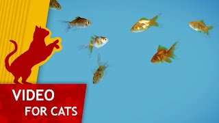 Movie for Cats  🐟 Shoal of Gold Fish Video for Cats 4K [upl. by Omland541]