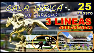 3 LINEAS ADELANTADAS EN LA GALA HIPICA DE CARACAS 25 AGOSTO [upl. by Cirdet]