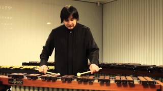 Andrei Pushkarev playing The Simple Xylo Rag on the Majestic Xylophone X8540H [upl. by Okiam]