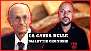 La causa di tutte le malattie croniche con il dott Fadda [upl. by Heng512]