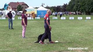 Qualifications – Monica Wickstrøm  All In For CreiZi  Border Collie – NORWAY [upl. by Florette]