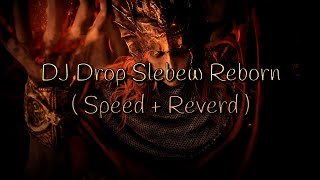 DJ Drop Slebew Reborn  Slowed  Reverd [upl. by Nolyad]