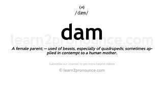 Pronunciation of Dam  Definition of Dam [upl. by Melinda]