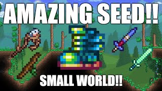 Terraria 1449 Amazing Seed Small World [upl. by Siderf]