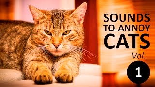 10 SOUNDS TO ANNOY CATS  Make your Cat Go Crazy HD Vol 1 [upl. by Sindee]