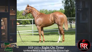 HIP 215 LQHBAYS [upl. by Donahoe]