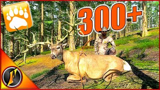 My Highest Scoring Whitetail Ever in theHunter Classic [upl. by Aerdnac832]