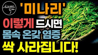 염증 해결사 미나리의 놀라운 효능  이렇게 드세요 당뇨 고혈압 온갖 성인병 싹 사라집니다  수근차 만드는법  미나리의 힘  책읽어주는여자 SODAs 건강 오디오북 [upl. by Raimundo562]