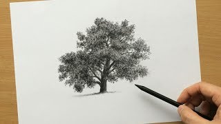 How to Draw a Tree in Charcoal [upl. by Suirauqed90]