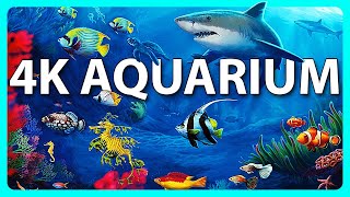 The Best 4K Aquarium for Relaxation 🐠 Relaxing Oceanscapes  Sleep Meditation 4K UHD Screensaver [upl. by Arriat]