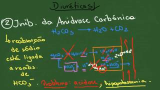 Diuréticos  Resumo  Farmacologia [upl. by Dayiz956]