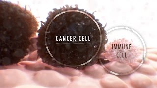 Immunotherapy for Cancer What It Is and Why It’s Used [upl. by Ocnarfnaig]