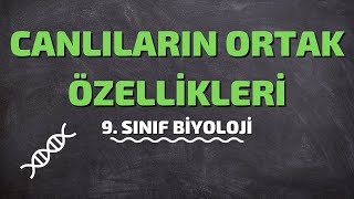 9Sınıf Biyoloji  Canlıların Ortak Özellikleri [upl. by Enilasor]