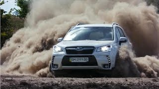 Subaru Forester in the forestСубару Форестер в своей стихии [upl. by Krisha]