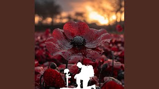 Remembrance Day Fallen Soldiers [upl. by Atinot]