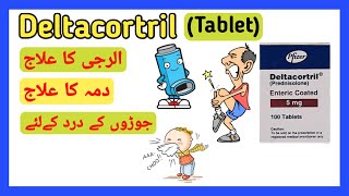 Deltacortril Tablets5mg Prednisolone Tablet Uses Side Effects Urdu Hindi PharmacyD [upl. by Grous]