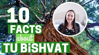 10 FACTS ABOUT TU BISHVAT [upl. by Ahseekat]